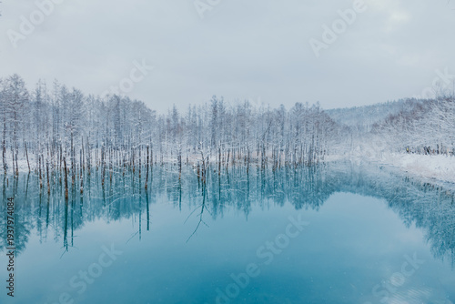 Tableau sur toile Ethereal Blue Pond in Winter with Snow-covered Trees Reflection
