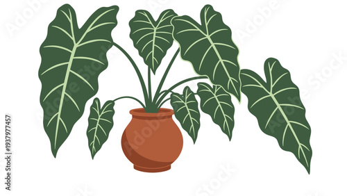 Vibrant green potted plant with large, lush leaves, beautifully displayed in a terracotta pot, symbolizing nature, growth, and home decor.