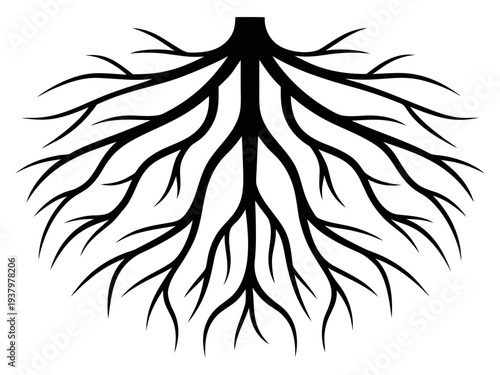 Tree Roots Silhouette Vector, Detailed Underground Root System Silhouette Illustration