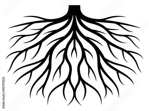 Tree Roots Silhouette Vector, Detailed Underground Root System Silhouette Illustration