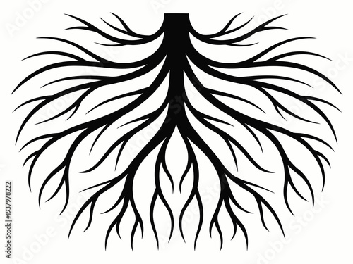 Tree Roots Silhouette Vector, Detailed Underground Root System Silhouette Illustration