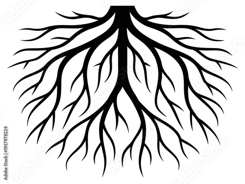 Tree Roots Silhouette Vector, Detailed Underground Root System Silhouette Illustration