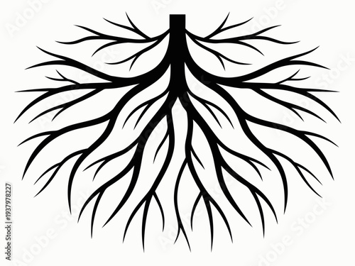 Tree Roots Silhouette Vector, Detailed Underground Root System Silhouette Illustration