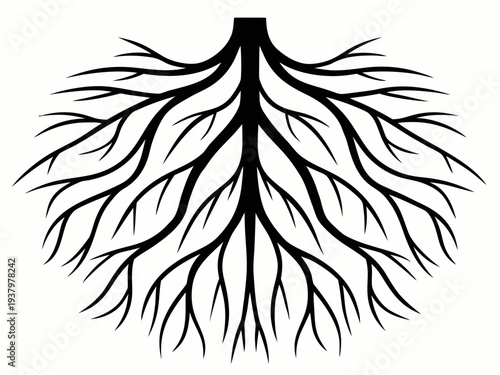 Tree Roots Silhouette Vector, Detailed Underground Root System Silhouette Illustration