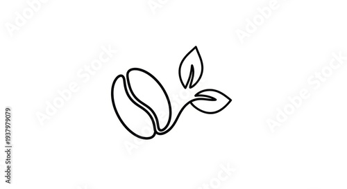Minimalist Line Art Illustration of a Coffee Bean Sprouting Leaves, Symbolizing Growth and Nature