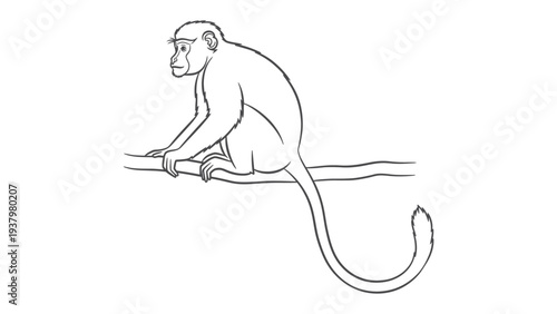 Contemplative Monkey on Branch: A lone monkey finds a moment of serene contemplation, perched upon a sturdy branch, rendered in elegant line art.