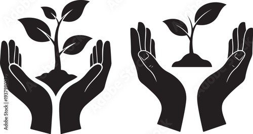 Nurturing growth with hand support