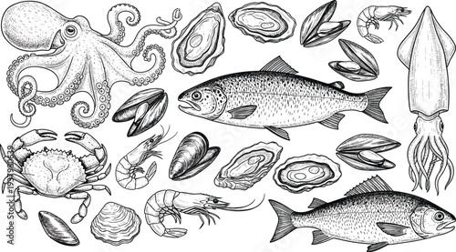 Vintage hand drawn engraving style vector collection of seafood including octopus, salmon, crab, shrimp, squid, and various shellfish for restaurant menu design.