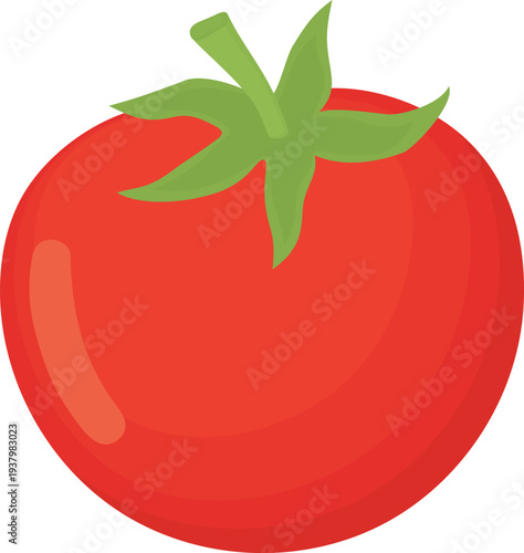 Bright illustration of ripe whole tomato with green stem. Fresh red vegetable isolated on white background