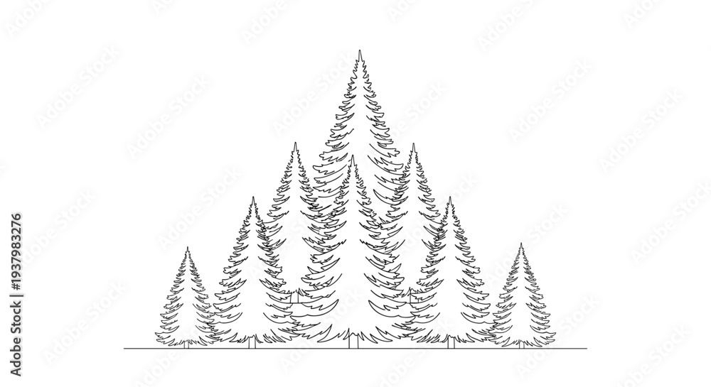 Obraz premium Group of Pine Trees Illustration.