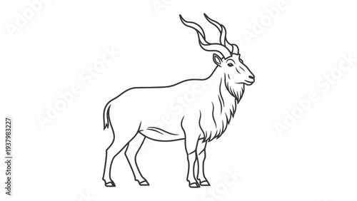  Majestic Markhor in Profile: A monochrome portrayal of a majestic markhor, its spiraling horns and powerful stance exuding an aura of wilderness and strength.