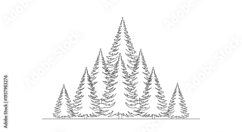 Group of Pine Trees Illustration.