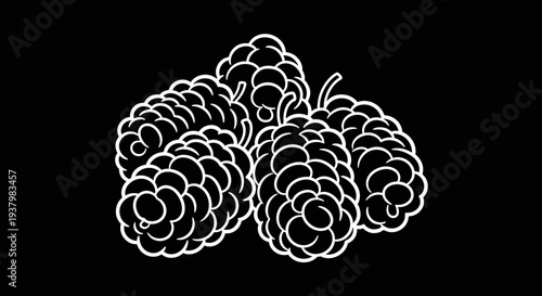 Pine cones illustration on black background.