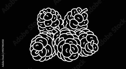 Pine cones illustration on black.