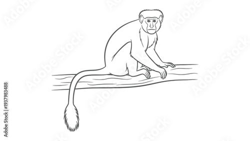 Monkey on a Branch: A detailed sketch of a primate, perfectly perched upon a tree branch. Its poised form invites a gaze, offering a clear outline for creative application.
