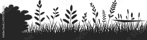 Wild grass and plants silhouette border, black meadow landscape with reeds and shrubs, minimal nature background for design, branding, posters, and illustrations