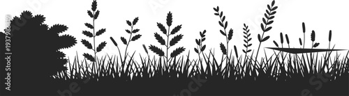 Wild grass and plants silhouette border, black meadow landscape with reeds and shrubs, minimal nature background for design, branding, posters, and illustrations
