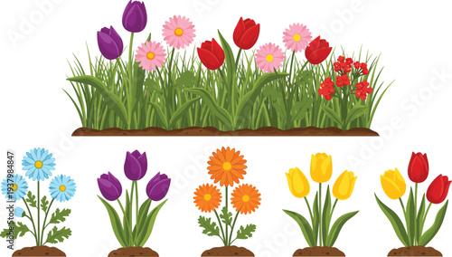 Colorful vector collection of various garden flower arrangements featuring tulips, daisies, and marigolds in individual dirt patches and a long horizontal meadow border. (25 words)