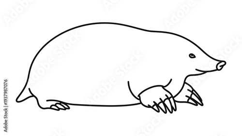 Mole Illustration: A simple yet elegant line art illustration of a mole, captured in a clean and modern style.