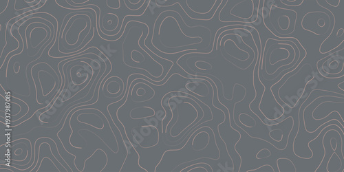 Gray and pink topographic contour lines pattern topographic map