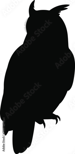 Wise owl silhouette perched on branch, nocturnal bird illustration, minimal design, wildlife vector art, mysterious animal symbol, decorative artwork