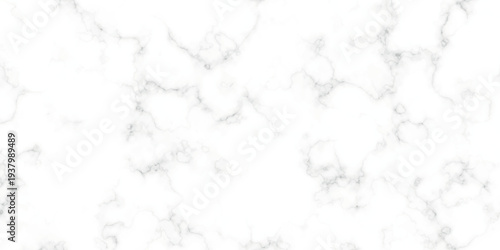 White marble texture with gray veins
