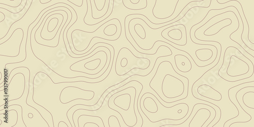 Beige topographic map contour lines pattern elevation lines