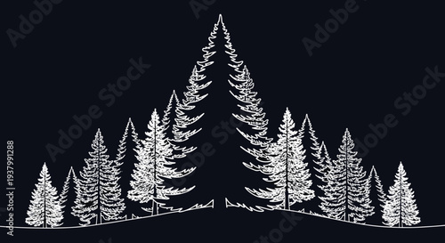 Snow Covered Pine Trees Illustration.