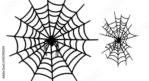 Spider webs with spiders and intricate designs, gothic and spooky elements for Halloween decoration and themes.