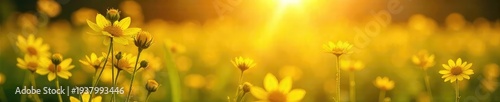 A radiant sun illuminates a field of vibrant yellow wildflowers, bathed in a golden, ethereal light; conveying serenity and spiritual purity , flowers, prayer