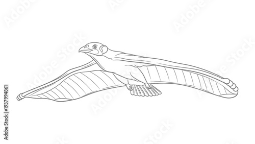 Soaring Eagle: A minimalist illustration captures the majestic grace of an eagle in mid-flight, its wings spread wide against a stark canvas, representing freedom, power.