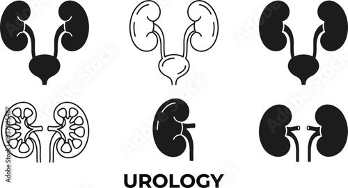 Urology kidney anatomy icon set urinary system medical healthcare organ vector illustration collection design