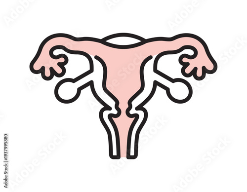 シンプル　イラスト　子宮と卵巣のイメージ ベクターイラスト