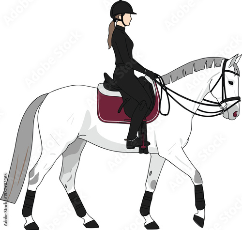 Female Equestrian Rider on Horse in Dressage Pose Elegant Horseback Riding Sport Vector Illustration