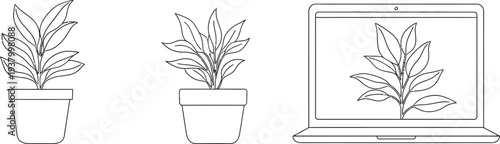 Potted house plants are displayed next to a laptop showing a plant graphic for ecological technology concepts.