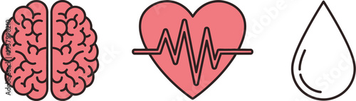 A collection of three medical icons illustrates the human brain, a heart with an electrocardiogram line, and a single droplet.