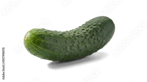 Tableau sur toile single fresh green cucumber with bumpy skin isolated on a transparent background, ideal for healthy eating and cooking imagery