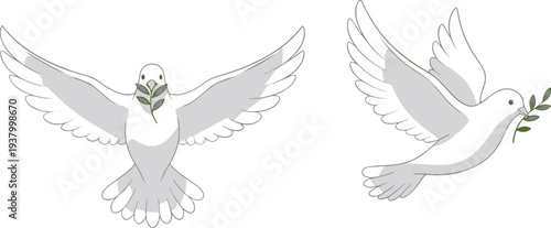 Peace doves illustration with olive branches, flying white birds symbolizing hope, harmony, reconciliation, freedom, and international peace vector design