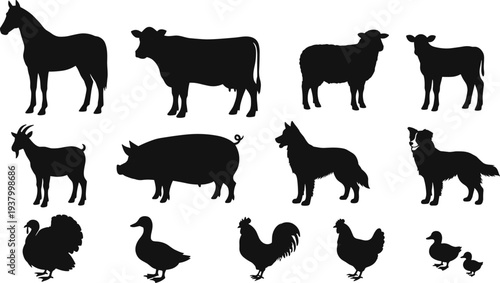 Silhouette farm animals illustration including horse cow sheep goat pig dog poultry duck rooster hen turkey vector agriculture design