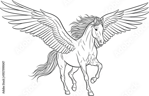 Pegasus Winged Horse Flying Mythical Creature Line Art Fantasy Illustration with Detailed Feathers and Majestic Pose Vector