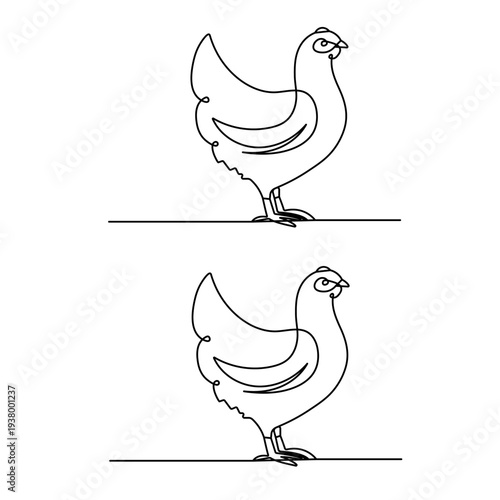 Hen continuous one-line drawing, white background, minimalist style, isolated outline vector illustration
