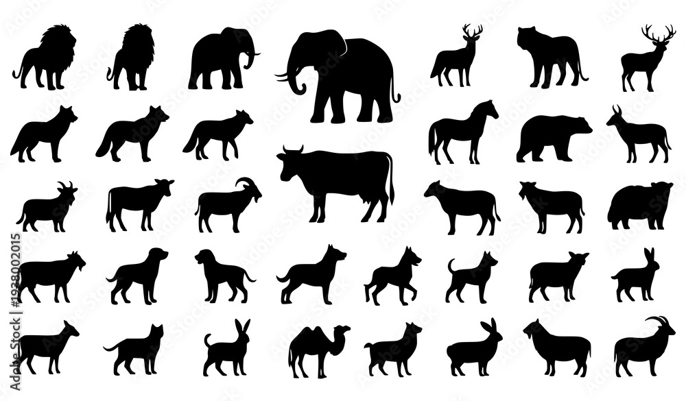 Obraz premium Wild and Domestic Animals Silhouette Mega Pack with Farm and Wildlife Animal Shapes Vector Collection