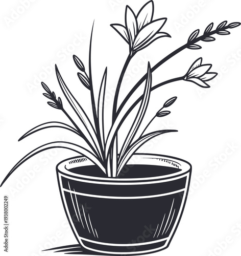Vector illustration of a plant in a pot