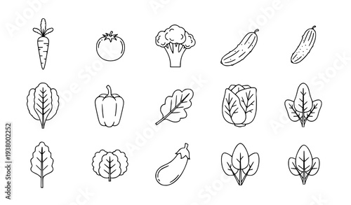Fresh organic vegetable and healthy food outline icon set isolated on white
