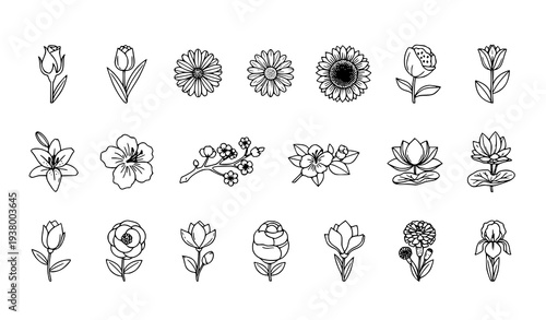 Minimalist flower outline icon collection with peony marigold poppy and iris for editable web and app design