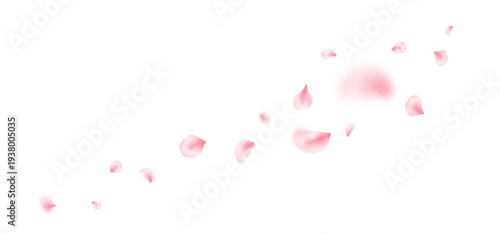 Spring cherry blossom wave. Sakura petal flying composition. Japan flower banner. Cosmetic beauty product. Natural decoration. Spa pink rose bg. Valentine romantic card. Vector illustration