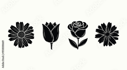 Hand Drawn Flower Illustration Set Daisy Tulip Rose Botanical Floral Elements Collection Vintage Style Garden Plants Decorative Nature Vector Illustration