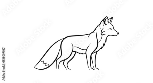 Elegant black and white line art drawing of a fox standing sideways, looking to the right with a calm expression.