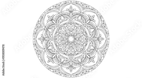 Intricate mandala coloring page for stress relief and mindfulness vector illustration