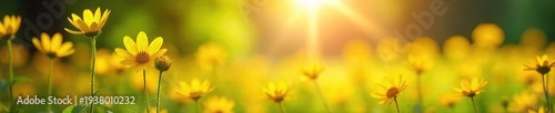 Radiant sunshine streams through leaves onto a bright yellow field of wildflowers, creating a cheerful, vibrant scene  Perfect for themes of happiness, optimism, and summer ,  foliage,  natural